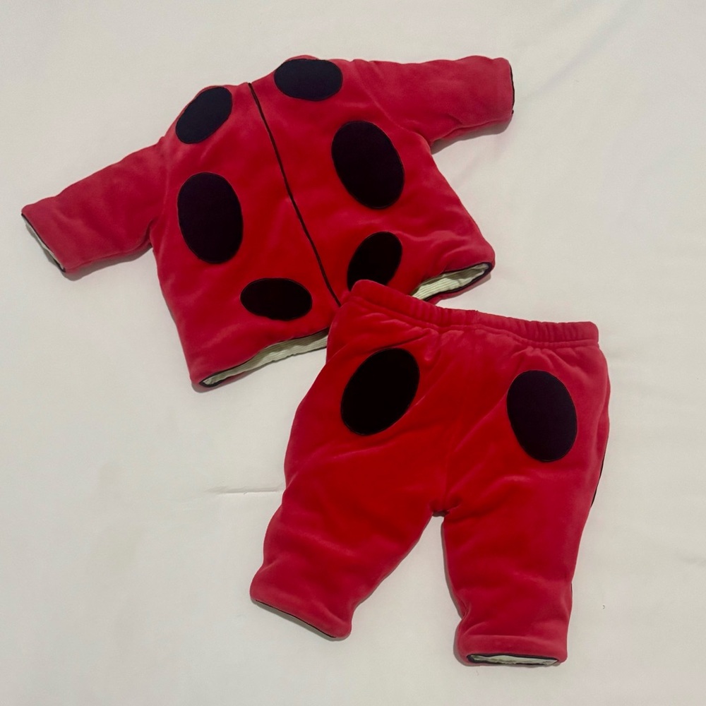 Anne Geddes Ladybug Set - Size 3-6 Months